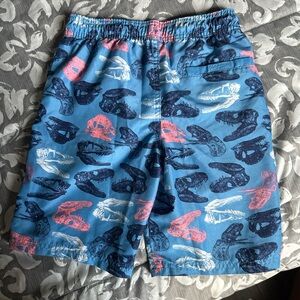 Cat & Jack Kids Swim Trunks - Blue with Dinosaur Print